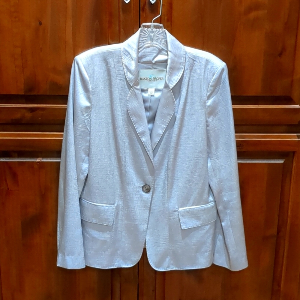 Luxurious Silver Blazer by Boston Proper